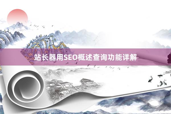 站长器用SEO概述查询功能详解