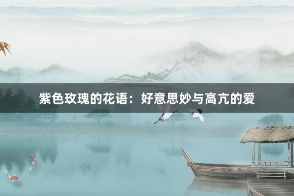 紫色玫瑰的花语：好意思妙与高亢的爱